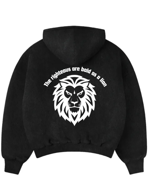 Proverbs 28:1 Hoodie (Coming Soon) view 2